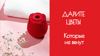 ЦВЕТЫ, КОТОРЫЕ НЕ ВЯНУТ