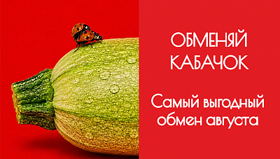 ОБМЕНЯЙ КАБАЧОК